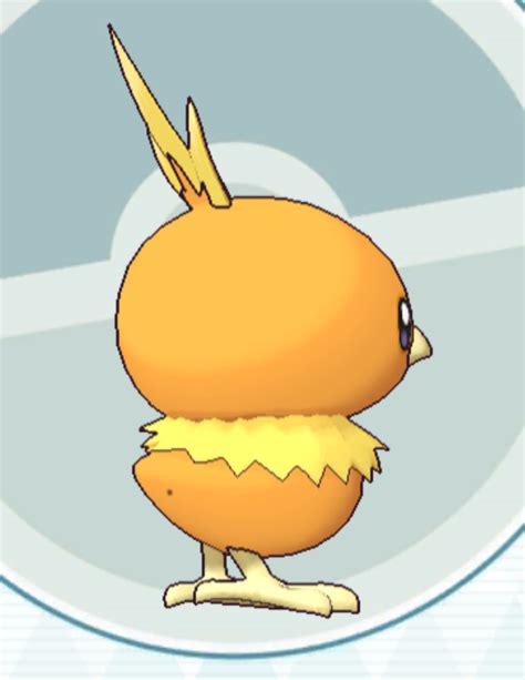 torchic gender difference.